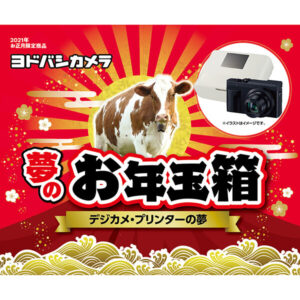 デジカメ・プリンターの夢が2021年のヨドバシカメラのお年玉箱として販売開始