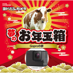 GoProの夢が2021年のヨドバシカメラのお年玉箱として販売開始